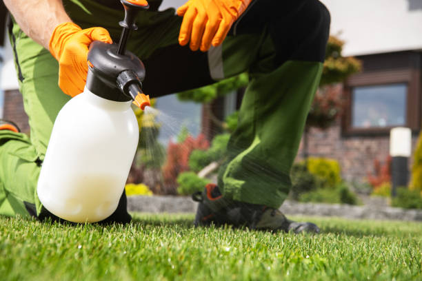 Best Termite Control Services  in Biscayne Park, FL