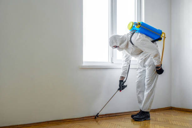Best Mosquito Control Services  in Biscayne Park, FL