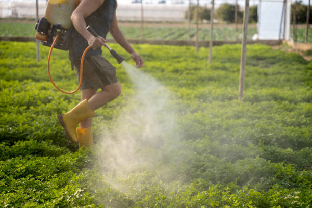Flea Control Services in Biscayne Park, FL