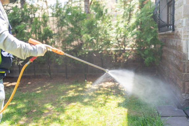 Best Affordable Pest Control Services  in Biscayne Park, FL