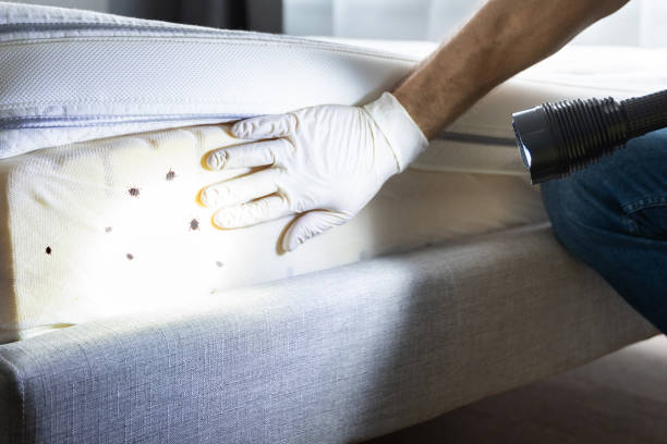 Best Pest Inspection Near Me  in Biscayne Park, FL