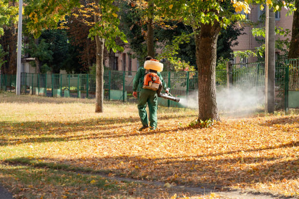 Best Emergency Pest Control  in Biscayne Park, FL
